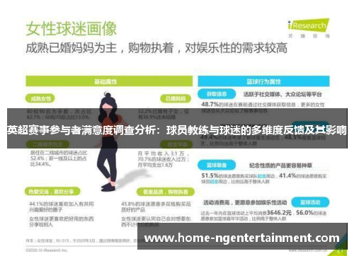 英超赛事参与者满意度调查分析：球员教练与球迷的多维度反馈及其影响